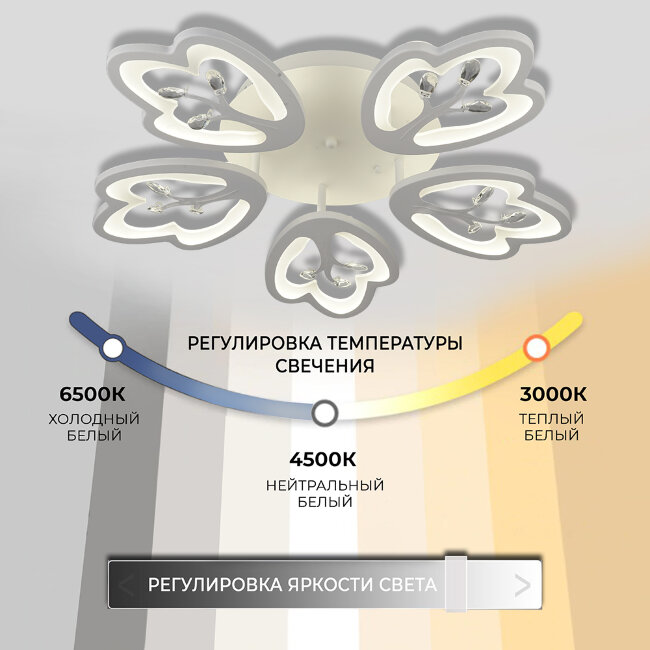 Потолочная люстра Wedo Light Agna 75267.01.09.05