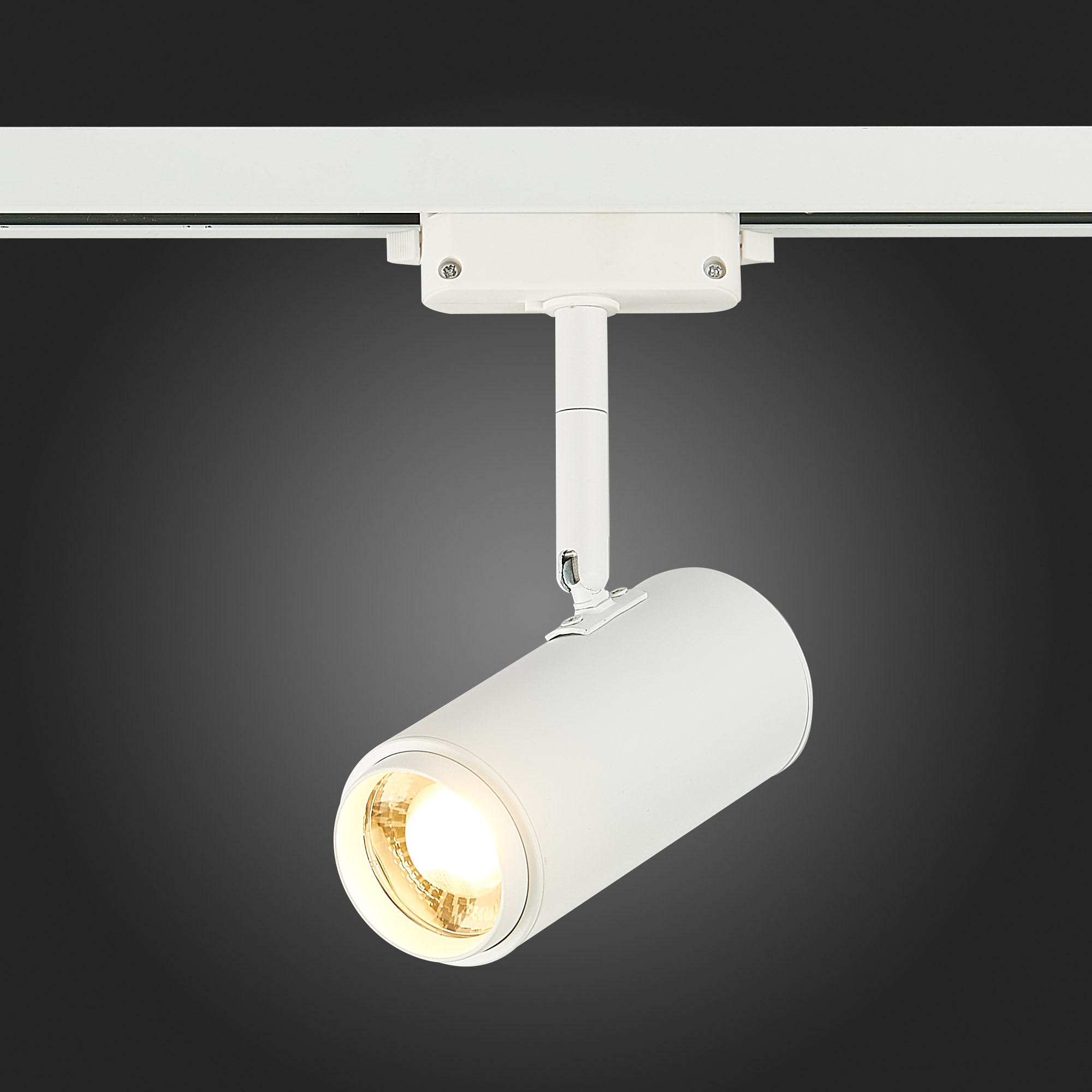 Трековый светильник ST Luce Zoom ST600.536.12 в Москве