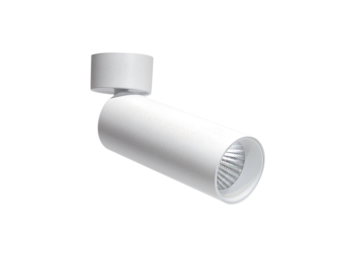 Накладной спот Donolux Rollo DL18895R20W1W ST