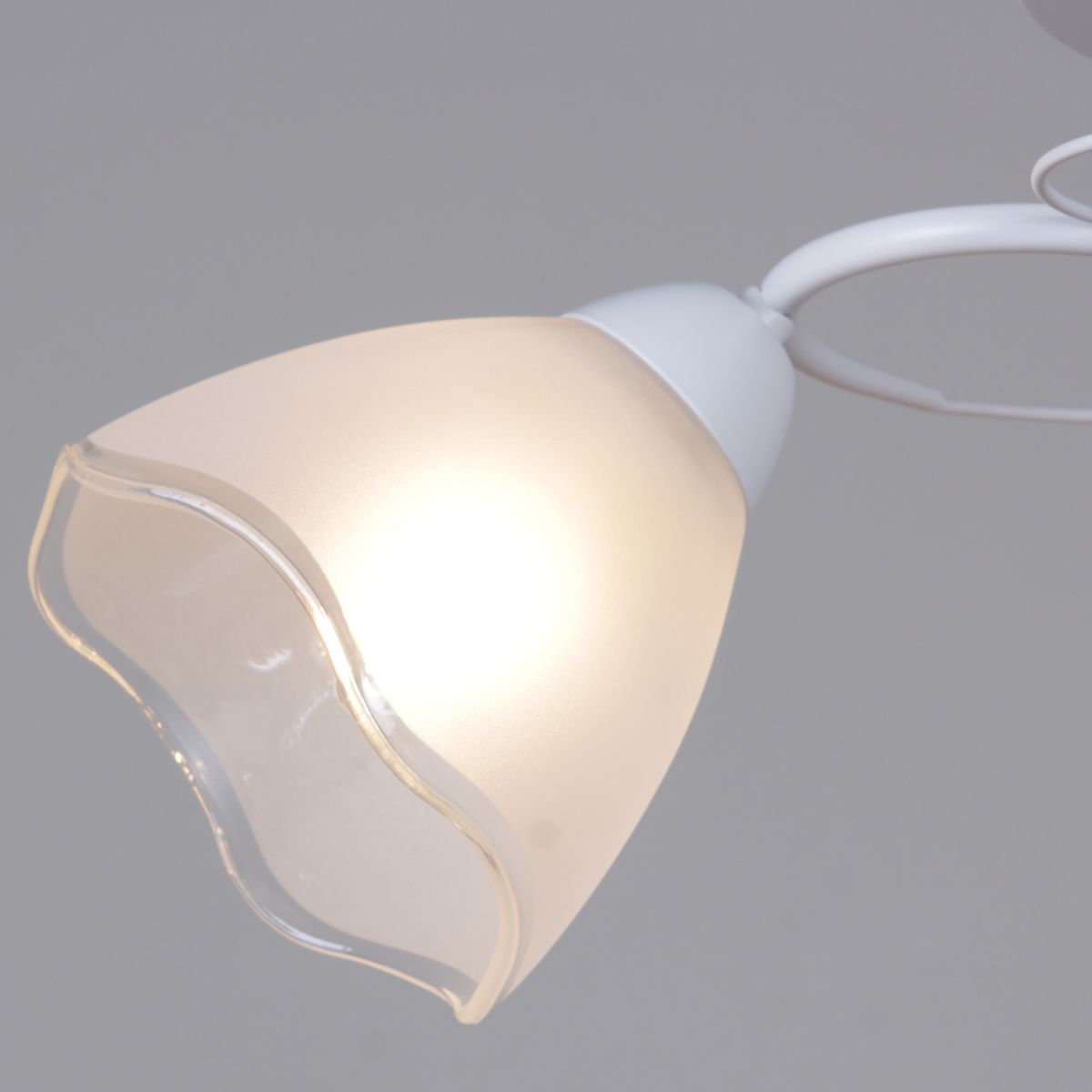 Потолочный светильник Reluce 33560-0.3-02 WH