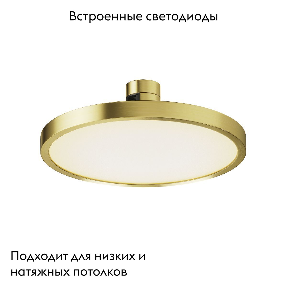 Трековый магнитный светильник Maytoni Plato TR153-1-10W3K-BS
