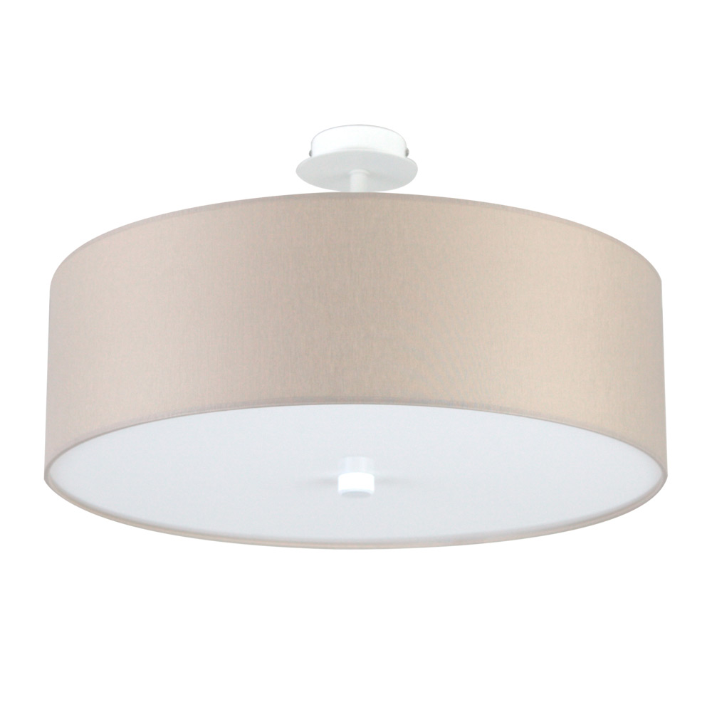 Потолочный светильник цилиндрический цилиндр LightHall Viviana 50 LH022004