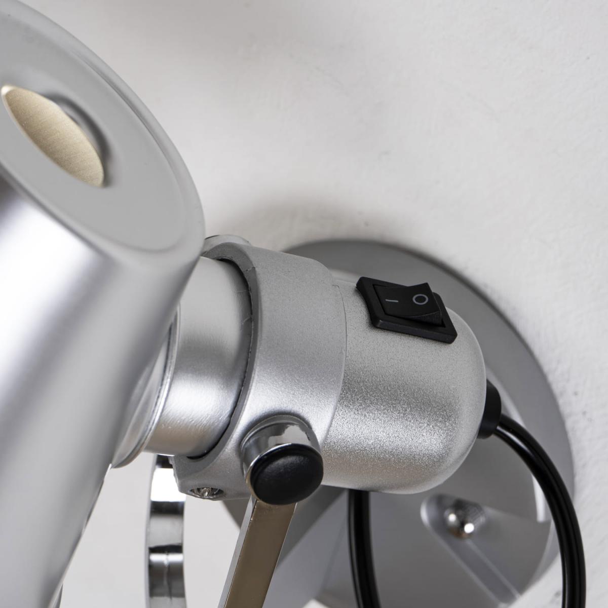 Спот Favourite Legend 1869-1W