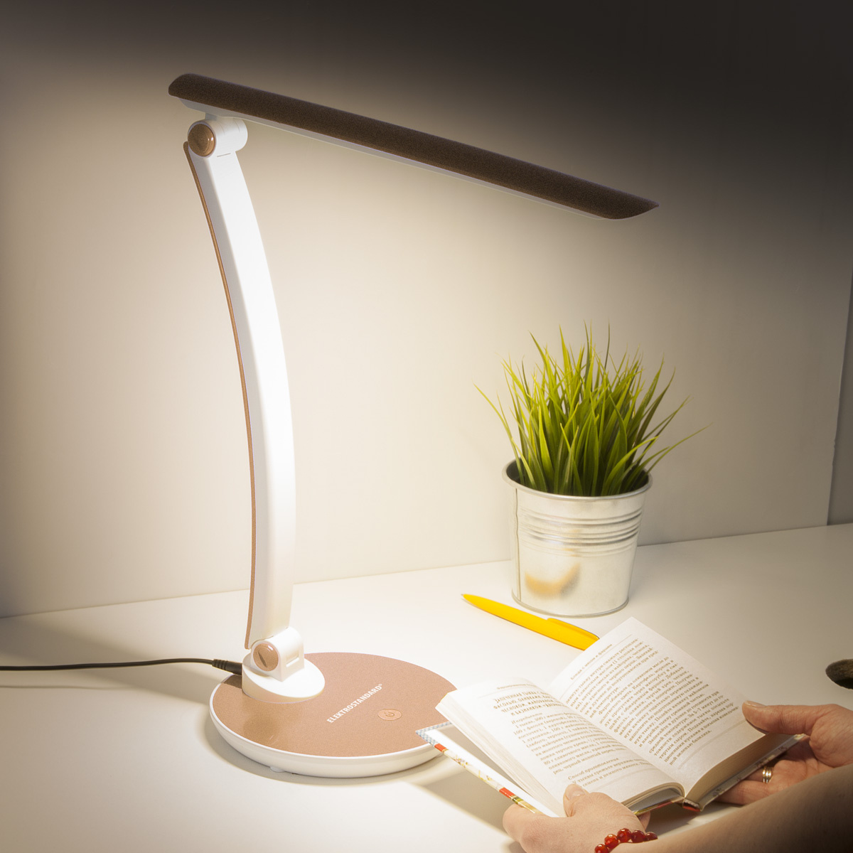 Настольная LED лампа Elektrostandard Gander TL90310 4690389105272