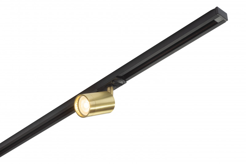 Трековый светильник (золото) Denkirs DK620 DK6201-BS