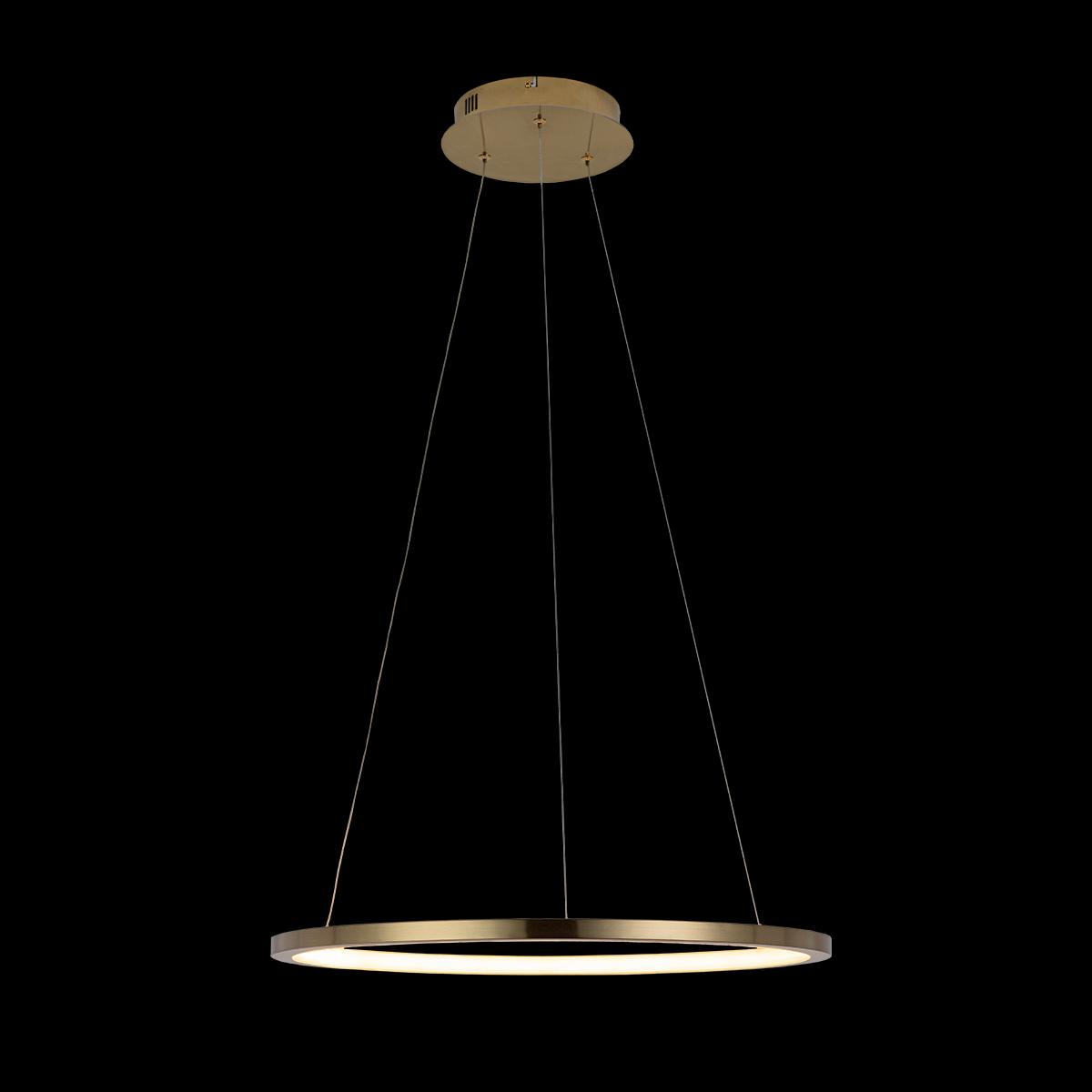 Подвесной светодиодный светильник на тросе Loft IT Ring 10014M