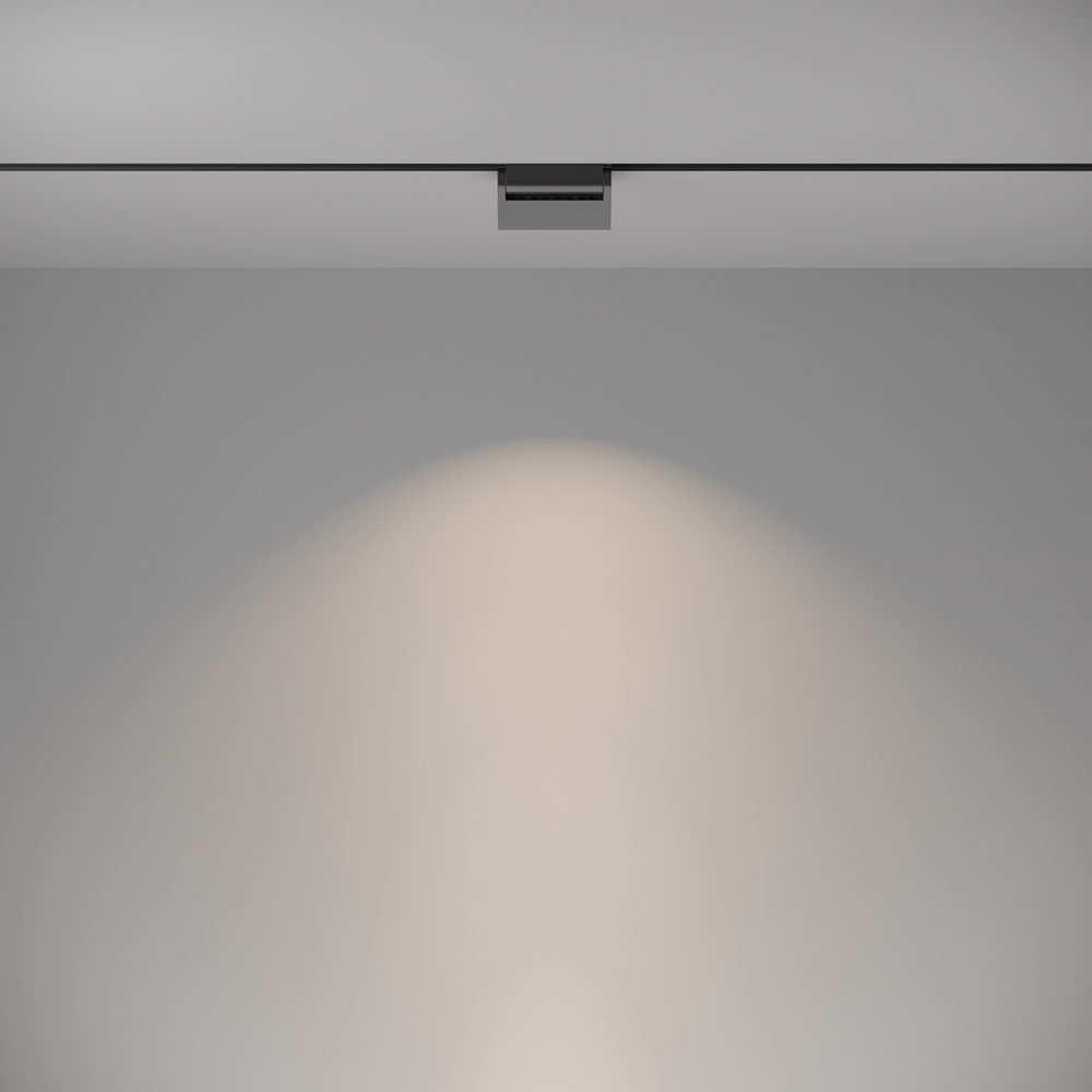 Трековый светильник Maytoni Track lamps TR013-2-10W4K-B