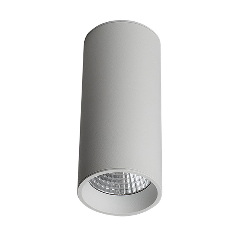Влагозащищенный светильник LeDron SLC7392/12W-W 00000013643