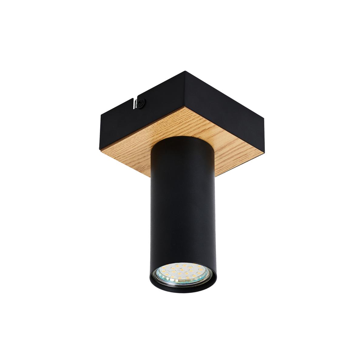 Накладной светильник F-Promo Olson 4431-1C