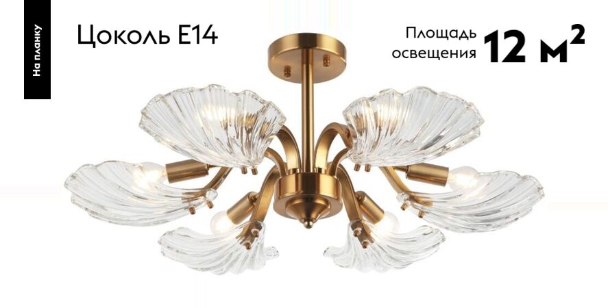 Потолочная люстра Stilfort Muschel 2153/05/06P