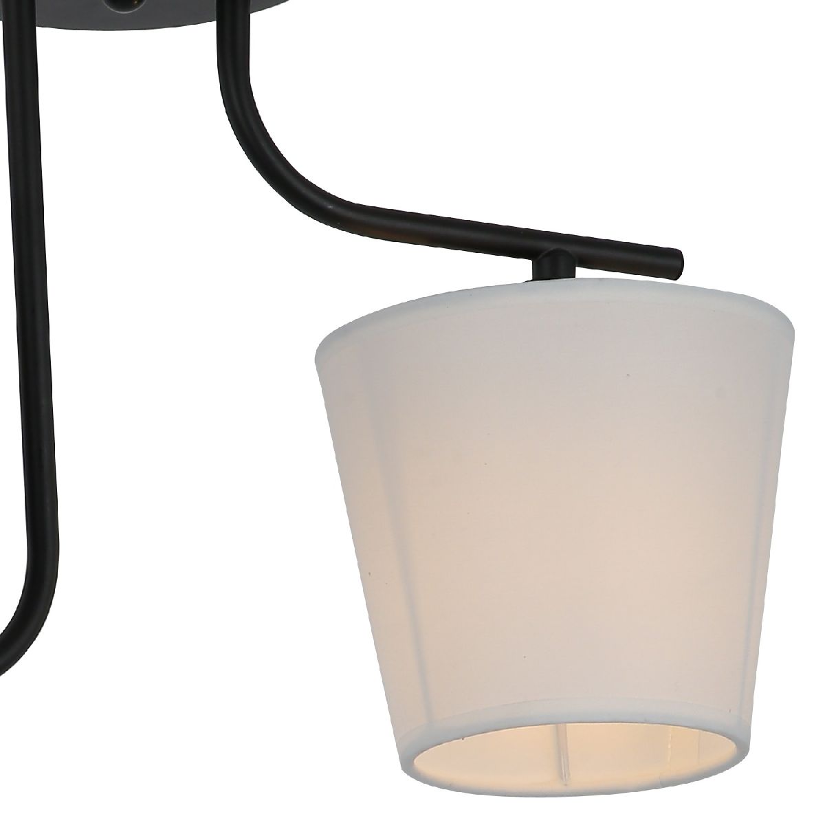 Потолочный светильник Illumico IL8134-2COU-79 BK