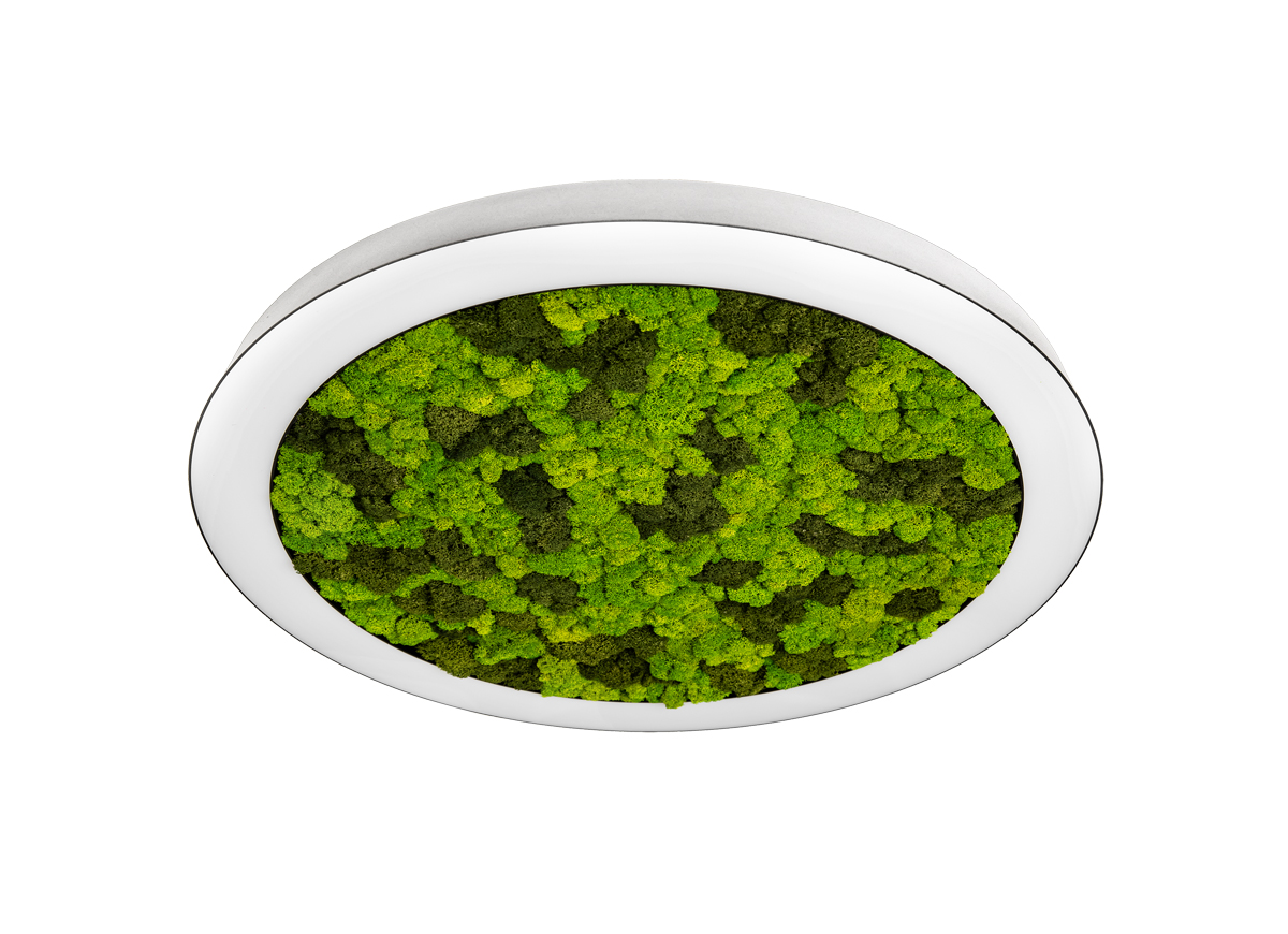Потолочная люстра Donolux Aura Moss DL800C72NW Moss White