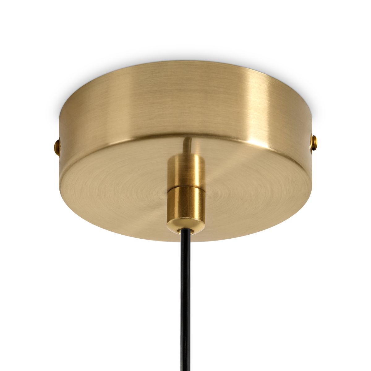 Подвесной светильник дизайнерский Freya Cave FR5631PL-01BS