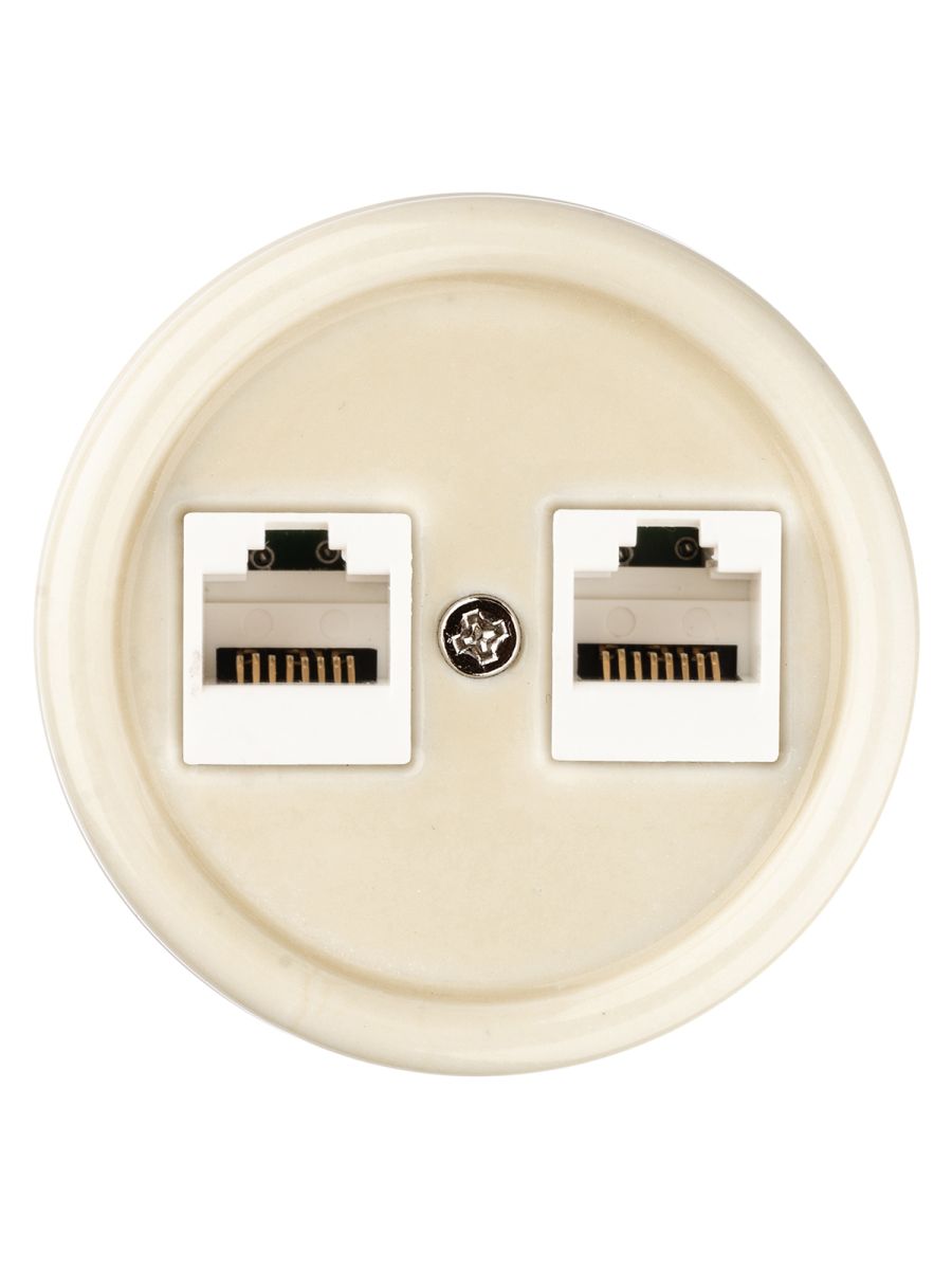 Розетка двойная компьютерная RJ45 сл. кость Болонь TDM Electric SQ1820-0351