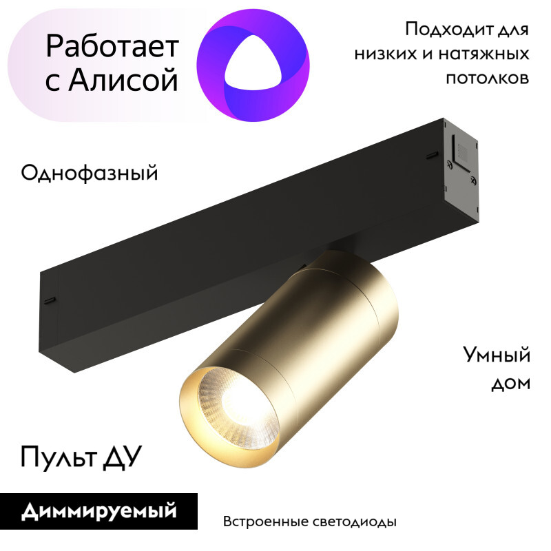 Трековый светильник Denkirs Smart DK8010-BG УЦ