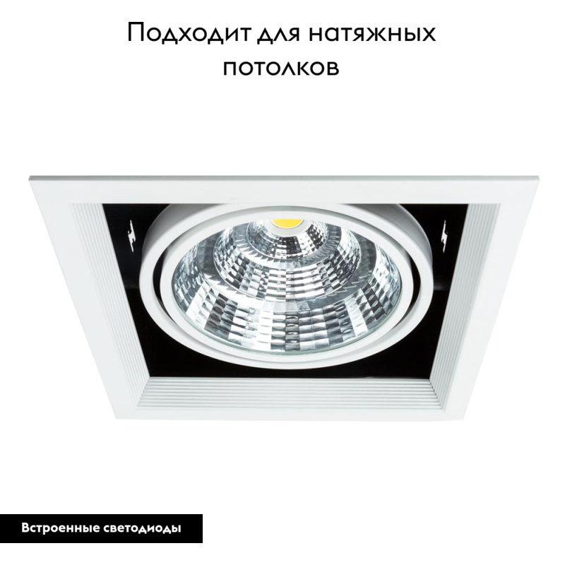 Встраиваемый светильник Arte Lamp Merga A8450PL-1WH