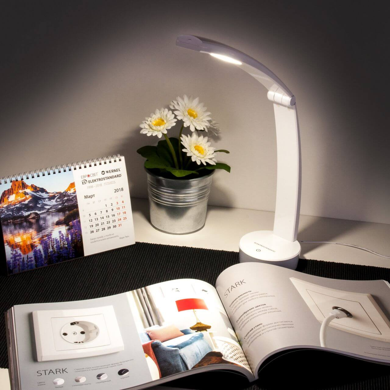Настольная LED лампа Elektrostandard TL90500 Rizar белый 4690389111563