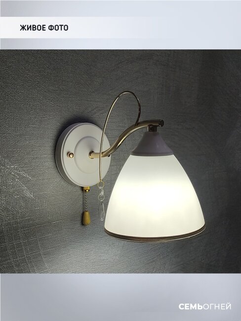 Бра Wedo Light Dzintars WD3523/1W-WT-FGD-WT