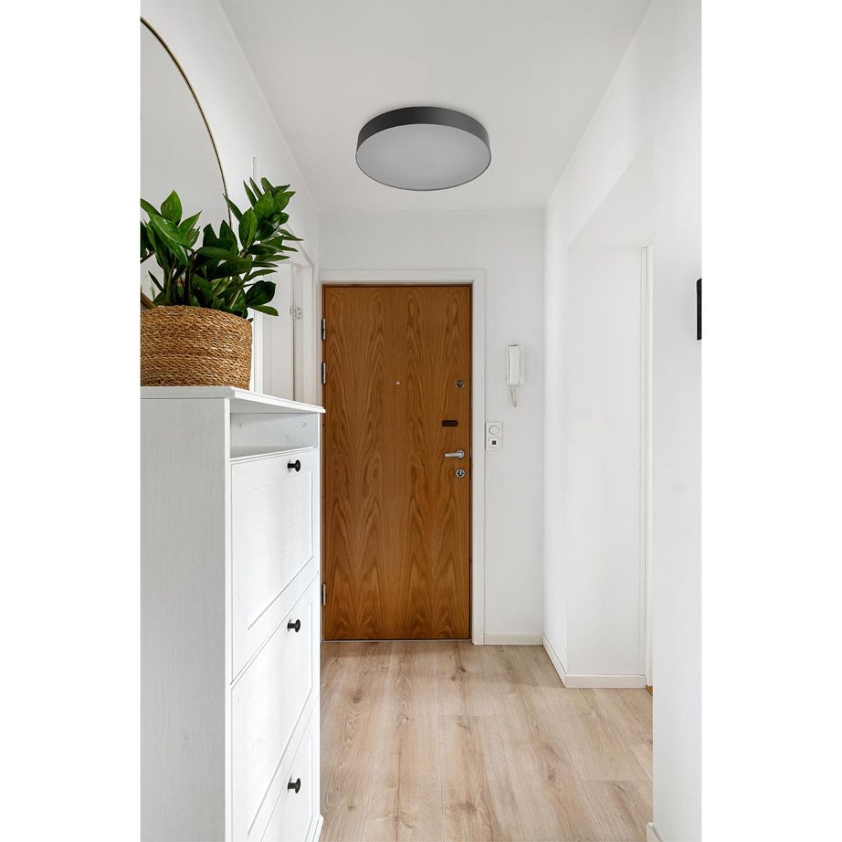 Настенно-потолочный светильник Sonex Basica Optima 7780/DLN