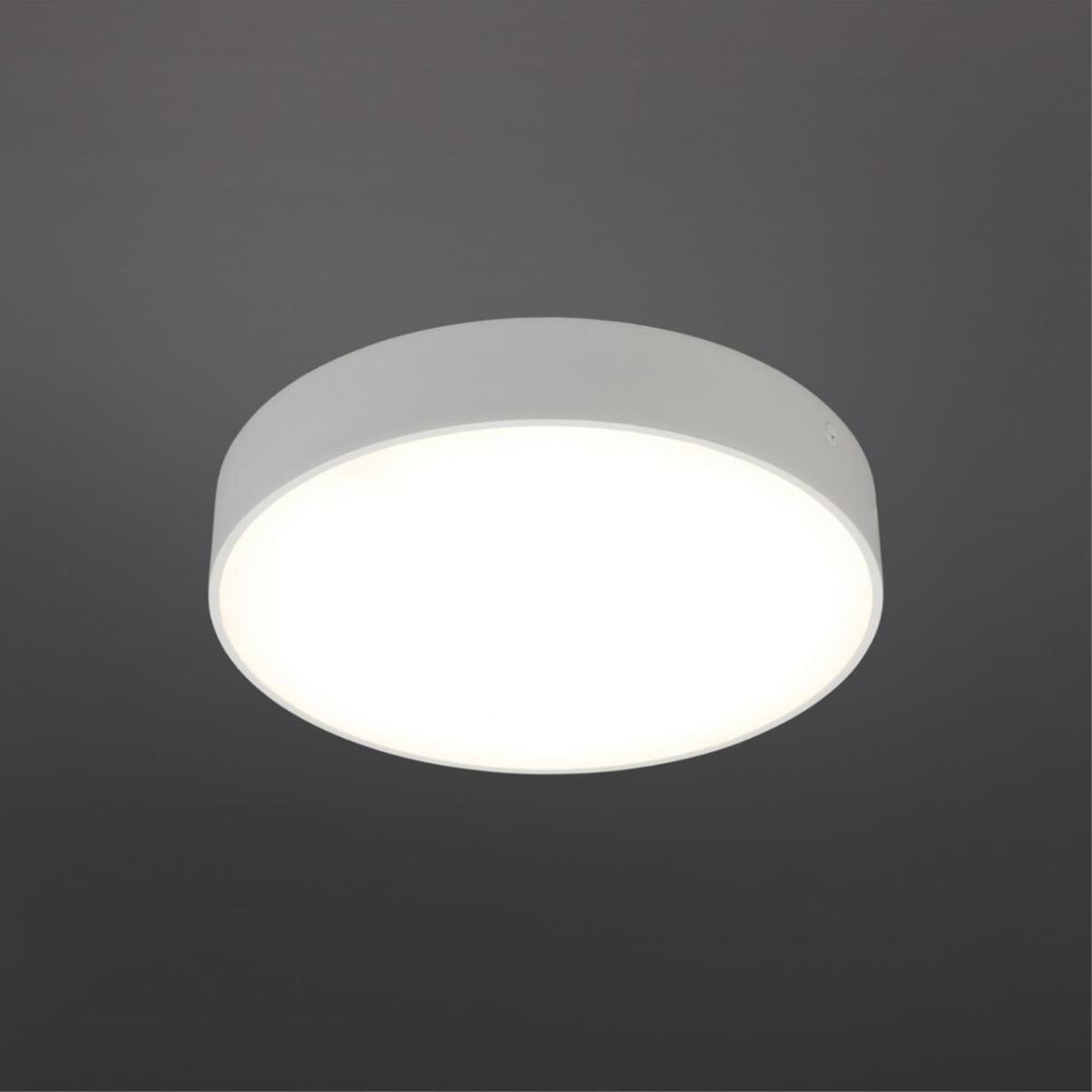 Потолочный светильник Aployt Evon APL.0114.09.24