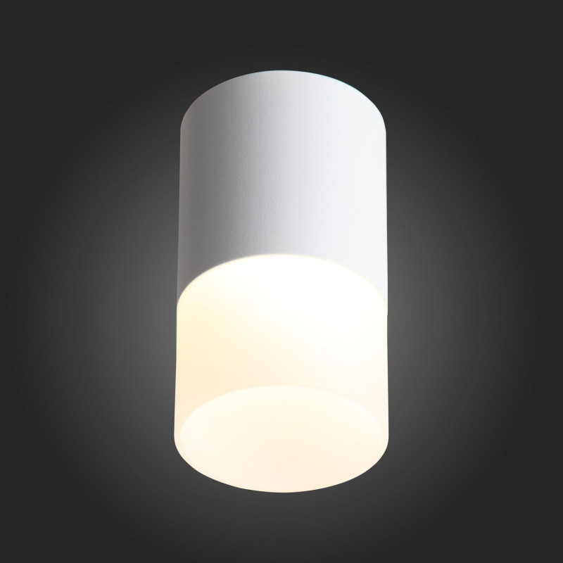 Потолочный светодиодный светильник ST Luce Ottu ST100.542.10