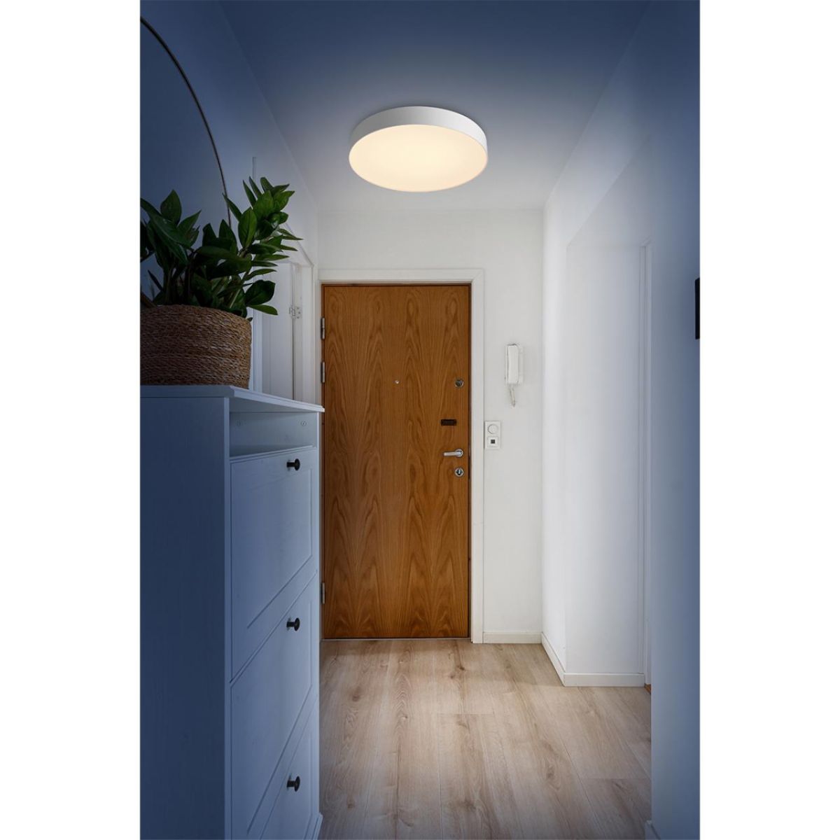 Настенно-потолочный светильник Sonex Basica Optima 7779/ELN