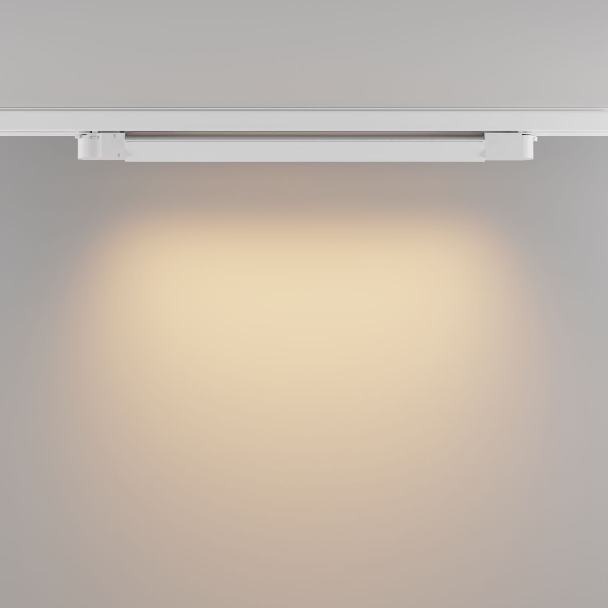 Трековый трехфазный светильник Maytoni Basis TR196-3-20W2.7K-W