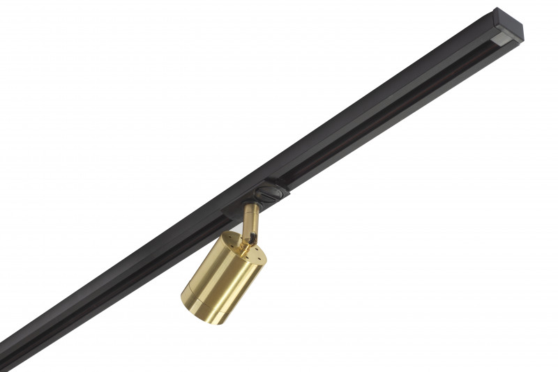 Трековый светильник (золото) Denkirs DK620 DK6201-BS