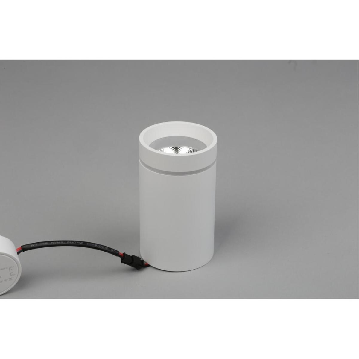 Потолочный светильник Aployt Edda APL.0054.09.10